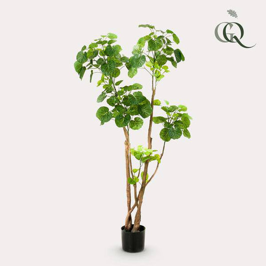 Kunstpflanze - Polyscias - Aralia - 135 cm
