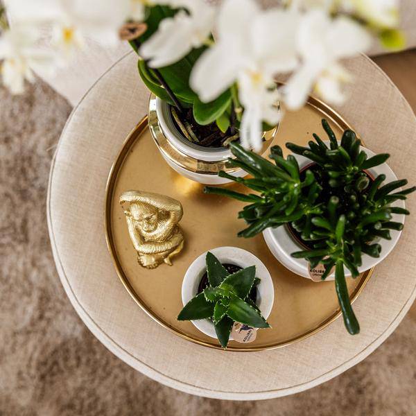 Le Chic Blumentopf - Weißer dekorativer Keramiktopf mit goldenen Details - Ø9cm - Oasis of Life