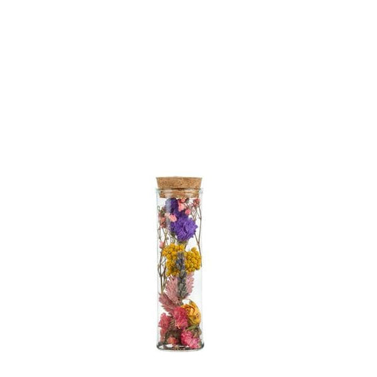 Getrocknete Blumen - Wunderbottle - Multi - 12 Stück - ↕10cm
