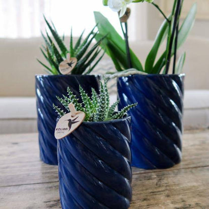 Candy Dekotopf - Hoch - Blau - Ø6cm 