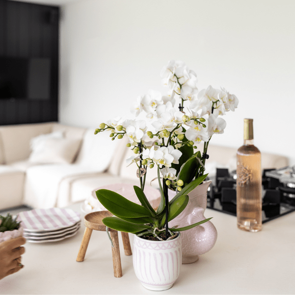 Topf Granada – Rosa – Ø9cm – Dekorativer Keramiktopf – Mediterranes Design – Glasiert & langlebig – Für Zimmerpflanzen & Deko 
