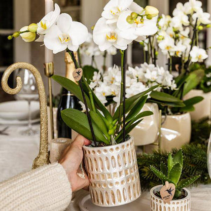 Mosaik Ziertopf - Ø9cm 