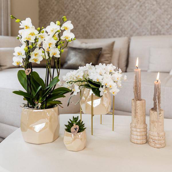 Kombi-Angebot Perlen Travertin Töpfe – 3er-Set Ø6/9/12 cm – stilvolle Keramik-Pflanzgefäße für Orchideen, Sukkulenten & Zimmerpflanzen 