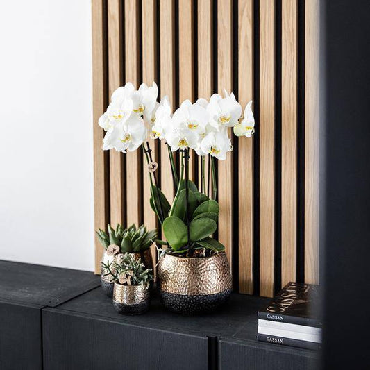 Elite Topf Kupfer - Ø12cm 