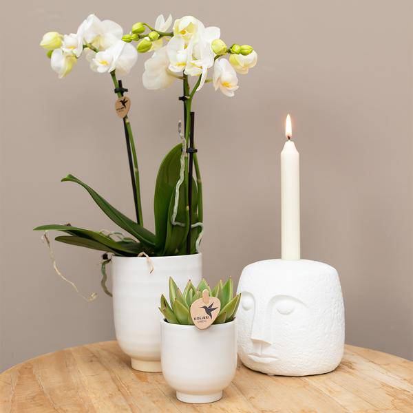 Blumentopf glasiert - Weißer Keramik-Ziertopf mit Glanz - Ø6cm - Oasis of Life