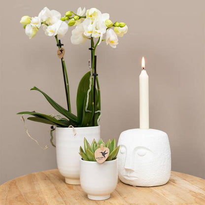 Blumentopf glasiert - Weißer Keramik-Ziertopf mit Glanz - Ø6cm - Oasis of Life