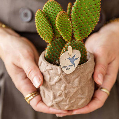 Sternchen Fisch Topf Dekotopf - Sand - Ø6cm 