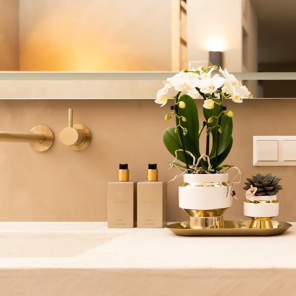 Le Chic Blumentopf - Weißer dekorativer Keramiktopf mit goldenen Details - Ø9cm - Oasis of Life