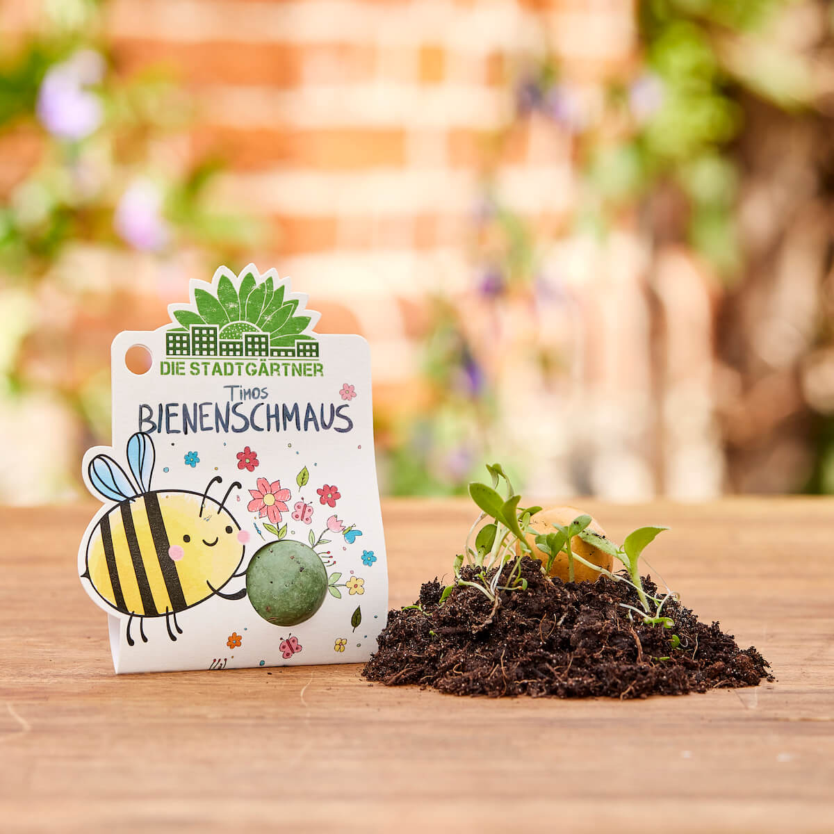 3 x 1 Blumenmurmel – Alle Sorten 