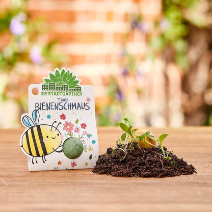 3 x 1 Blumenmurmel – Alle Sorten 