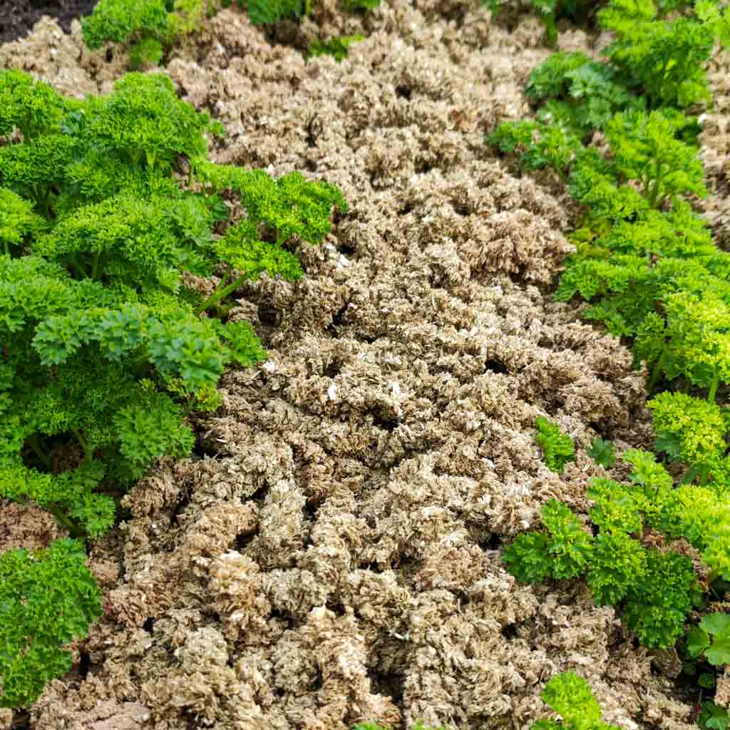 Heumulch Pellets Gartenmulch – Mulchpellets aus Wiesenheu & Gerstenstroh – Natürliche Bodenabdeckung für Hochbeet Gemüse & Erdbeeren – Nachhaltiger Mulch mit hoher Ergiebigkeit