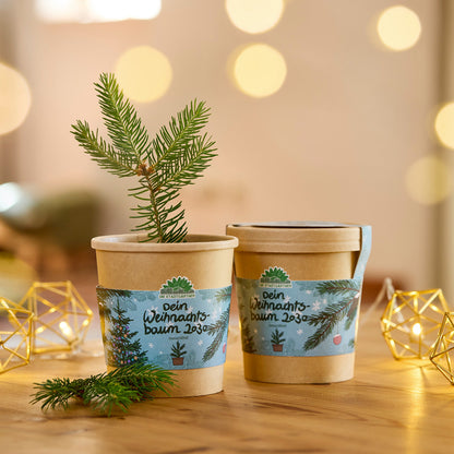 Weihnachtsbaum 2030 aus dem Becher 