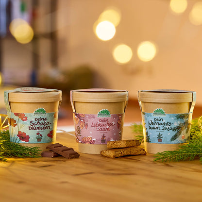 Weihnachtsbaum 2030 aus dem Becher 