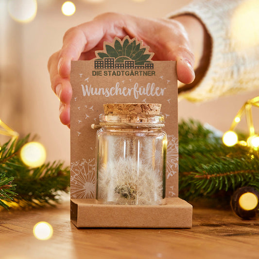 Großer Wunscherfüller – Pusteblume im Glas 